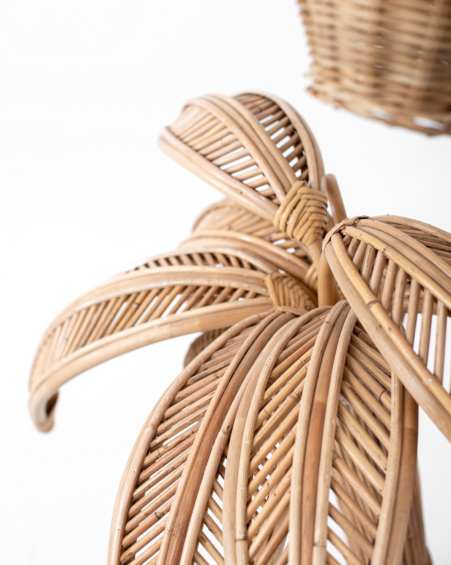 Palm Decor Thumbnail